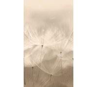 Grandeco Mural Dandelion Mural 203801
