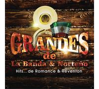 Grandes De La Banda Y Nort Grandes De La Banda Y Norteno: Hits (CD) (US IMPORT)