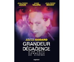 Grandeur et décadence d'un petit commerce de cinéma