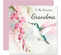 Grandma Birthday Card - Hummingbird Wishes - Happy Birthday Card for Grandma from Grandson Granddaughter, 145mm Pink Floral Illustration Bday Greeting Cards