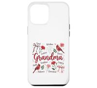 Grandma Spoil Wisdom Hugs Cardinal Floral Design Case for iPhone 12 Pro Max
