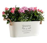 'Grandma You're Blooming Wonderful' | Engraved Grandma's Garden Plant Pots Outdoor Indoor | Mum, Dad, Anniversary, Grandad and Nan Gifts for Birthday Garden Pots and Planters | Dust and Things