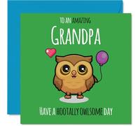 Grandpa Birthday Card, Hootally Owlsome