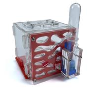 GrandSail Acrylic Ant Farm Starter Kit - Modern Ant Nest with Automatic Watering, Easy to Assemble, Low Maintenance, Ideal for Beginners - Orange Red