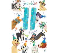 Grandson 11th Birthday Card Age 11 Dogs 9" x 6" Lovely Verse