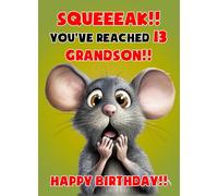 Grandson 13th Birthday Card (Funny Mouse Humour) - For Him Age Male Boy Men Animal
