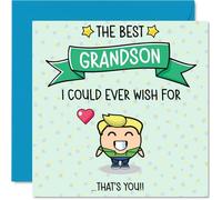 Grandson Birthday Card - Best I Could Ever Wish For - Happy Birthday Card for Grandson from Grandad Nanny, 145mm Cute Bday Greeting Cards