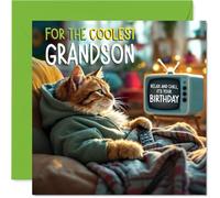 Grandson Birthday Card - TV Cat - Happy Birthday Card for Grandson from Grandad Nanny, 145mm Cat Celebration Bday Greeting Cards