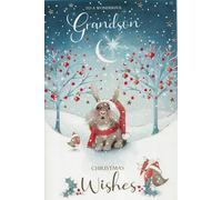 Grandson Christmas Card - “To a Wonderful Grandson” Christmas Wishes - Cute Bunny & Robins Winter Scene - Large 24 x 16 cm - With Envelope - Single Greeting Card (Xmas)