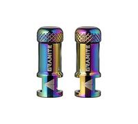 Granite Outdoors Bike Valve Cap Juicy Nipple – Alloy Valve-Core Remover, Oil Slick