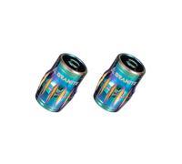 Granite Juicy Nipple Valve Cap with Valve Core Removing Function, Tire Valve Caps Dust Covers for Bikes and Vehicles, Durable Alloy Schrader Valve Cap, 2-Piece Set (Oil Slick)