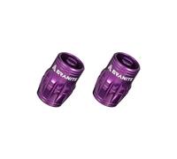 Granite Juicy Nipples Schrader Valve Core Remover Caps, 2 Pcs (Purple)