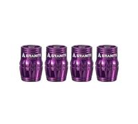 Granite Juicy Nipples Schrader Valve Core Remover Caps, 4 Pcs (Purple)