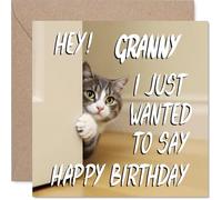 Granny Birthday Card - Cute Cat Peekaboo - Happy Birthday Card for Granny from Grandson Granddaughter, 145mm Lovable Kitty Bday Greeting Cards
