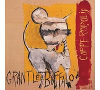 Grant Lee Buffalo - Copperopolis 2023 Remaster - Vinyl Record - A4z