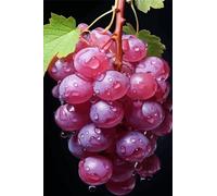 Grape Fruit 300 Piece Jigsaw Puzzle for Adults, Creativity, Challenging and Difficult Puzzle, Brain Teaser Puzzles for Adults 300 Pieces for The Whole for Women, Men
