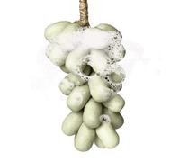 Grape Handmade Soap, Grape Artisan Soap, Grapes Face Wash, Natural Hand Cleaning, Handmade Facial Cleanser, Gentle Hydrating Facial Cleaner Supplies For Friend