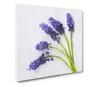 Grape Hyacinth Flower Canvas Print | Gallery Wrapped 30mm Frame Wall Art | 14x14 inches | Ready to Hang | Modern Floral Picture | Living Room Bedroom Lounge Office