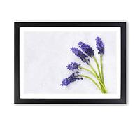 Grape Hyacinth Flower Painting Framed Print | A2 Black Framed Wall Art | Ready to Hang | Modern Floral Picture | Living Room Bedroom Lounge Office