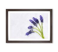 Grape Hyacinth Flower Painting Framed Print | A2 Walnut Framed Wall Art | Ready to Hang | Modern Floral Picture | Living Room Bedroom Lounge Office