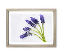Grape Hyacinth Flower Painting Modern Art Framed Print | A3 Oak Framed Wall Art | Ready to Hang | Modern Floral Picture | Living Room Bedroom Lounge Office