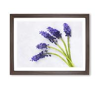 Grape Hyacinth Flower Painting Modern Art Framed Print | A4 Walnut Framed Wall Art | Ready to Hang | Modern Floral Picture | Living Room Bedroom Lounge Office
