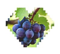 Grape Print Art Brick Puzzle Heart Shaped DIY Building Blocks Set 3D Jigsaw Home Decor 53 Pieces