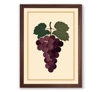 Grape Study with Leaves Botanical Framed Wall Art Print A1 (84.1×59.4cm) Walnut, Wall Decor for Living Room, Bedroom, Office & Home, Ready to Hang, Art Gift