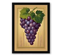 Grape Study with Leaves Botanical Framed Wall Art Print A2 (59.4×42cm) Black, Wall Decor for Living Room, Bedroom, Office & Home, Ready to Hang, Art Gift