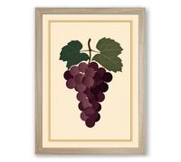 Grape Study with Leaves Botanical Framed Wall Art Print A2 (59.4×42cm) Oak, Wall Decor for Living Room, Bedroom, Office & Home, Ready to Hang, Art Gift