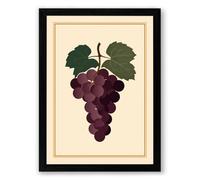 Grape Study with Leaves Botanical Framed Wall Art Print A3 (42×29.7cm) Black, Wall Decor for Living Room, Bedroom, Office & Home, Ready to Hang, Art Gift