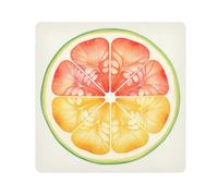 Grapefruit Slice Camera Wrap Cloth, Squares Magic Self-Adhesive Cloth for Lens Camera Anti-Scratch Lens Protector Makeup Wrap Cloth Bag 21.7" x 21.7"