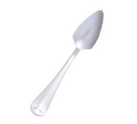 Grapefruit Spoon | Notched Utensil for Sampling | Stainless Steel Serving Spoon | for Fruit Salad Snack Dessert and Tasting