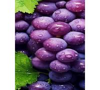 Grapes 300 Piece Jigsaw Puzzle for Adults, Creativity, Challenging and Difficult Puzzle, Brain Teaser Puzzles for Adults 300 Pieces for The Whole for Women, Men