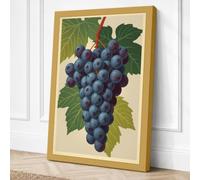 Grapes and Foliage Botanical Canvas Wall Art Print 36x24 Inch (91 x 61 cm)