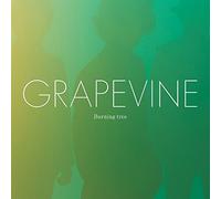 Grapevine - Burning Tree [Japan CD] VICL-64266