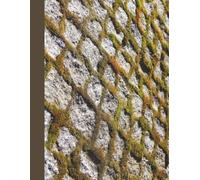 Graph Paper Composition Notebook ANCIENT GRID: Quad Ruled 150 pages, 8.5 x 11 inches, 4x4 Grid, Four Squares per Inch, Math and Drafting