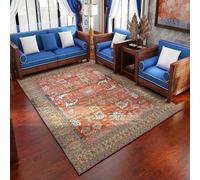 Graphene Heated Rug-Electric Heating Carpet, 9-Layer Protection,Formaldehyde-Free Far-Infrared Mat for Living Room,Bedroom(Style5,40x60in/100x150cm)