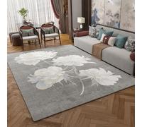 Graphene Heated Rug-Electric Heating Carpet, 9-Layer Protection,Formaldehyde-Free Far-Infrared Mat for Living Room,Bedroom(Style3,60x79in/150x200cm)