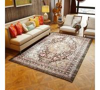 Graphene Heated Rug-Electric Heating Carpet, 9-Layer Protection,Formaldehyde-Free Far-Infrared Mat for Living Room,Bedroom(Style11,40x60in/100x150cm)