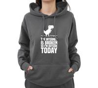 Graphic Impact Funny The Internet Is Broken So I Am Outside Today Sarcastic Anti Social Hoodie (Charcoal,Small)