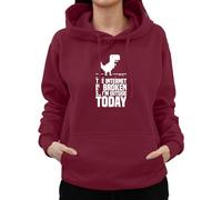 Graphic Impact Funny The Internet Is Broken So I Am Outside Today Sarcastic Anti Social Hoodie (Wine,X-Large)