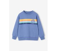 Graphic round neck sweatshirt for boys grey blue