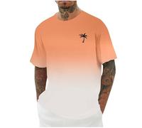 Graphic T Shirt Men, Mens T Shirts Men's Fashion Casual T-Shirts Breathable Lightweight Tee Top Hawaiian Print Summer Camping Hiking Holidays Everyday Wear