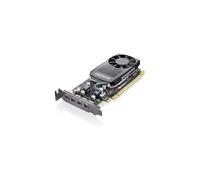 Graphics Card - Quadro P620-2 GB GDDR5 Low Profile - 4 x Mini DisplayP