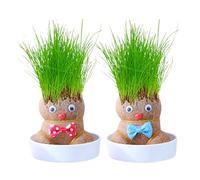 Graskopf Growing - Grass Head Doll Plant - Plant For Growing Dolls | Reproductive Doll In A Planter As A Mini Plant For The Desk, A Fun Green Office Decoration