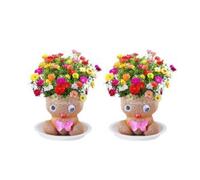 Grass Head Doll | Growing Grass Head | Grasshead Hair Grow Toy | Desktop Ornaments Green Plants Potted With Tray | Decoration Or Plants Potted For Children