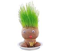 Grass Head Doll Plant Grass Head Doll Growing Grass Head Doll Plant Grow Your Own Grass Head Grass Head Growing Kit for Table Desk Home Decor(Random Color)