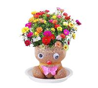 Grass Head Doll Plant Grass Head Doll Growing Grass Head Doll Plant Grow Your Own Grass Head Grass Head Growing Kit for Table Desk Home Decor(Random Color)