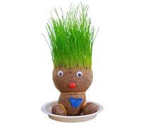 Grass Head Doll Plant | Growing Grass Head Doll Plant | Grasshead Hair Grow Toy | Desktop Ornaments Green Plants Potted With Tray | Decoration Or Plants Potted For Children